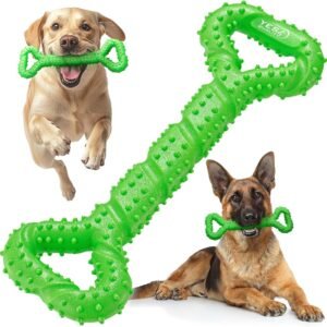 Chewing Toy